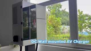 20‑60kW DC Hızlı Şarj Cihazı Tek/Çift Tabancalı EV Şarj İstasyonu OCPP 1.6J